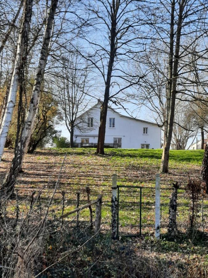 Autour Des Vignes B&B Herry Exteriér fotografie
