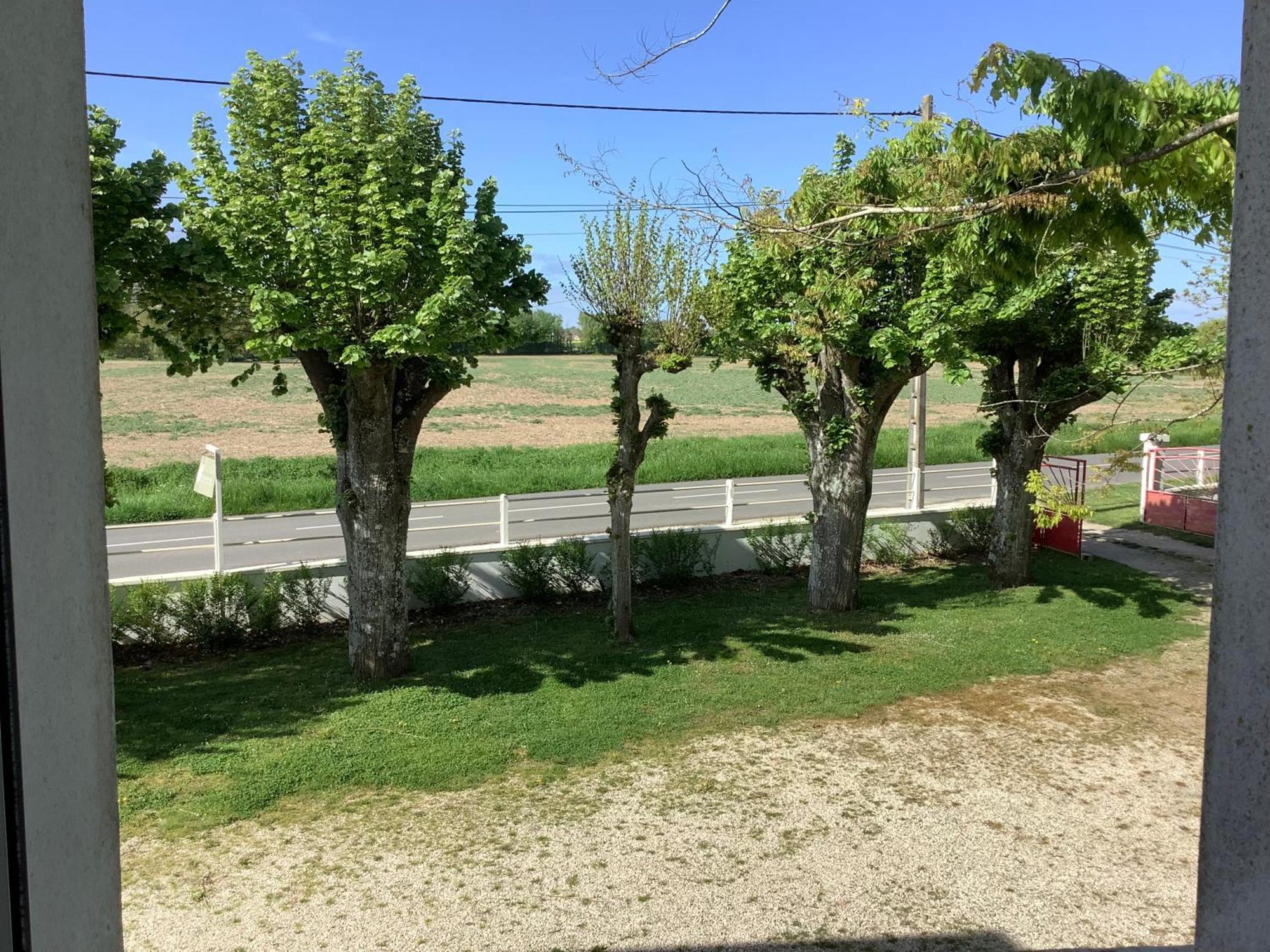 Autour Des Vignes B&B Herry Exteriér fotografie